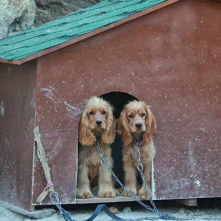 Cappadocia Nar Cave House & Swimming Pool 酒店