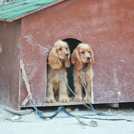 Cappadocia Nar Cave House & Swimming Pool 酒店 3*