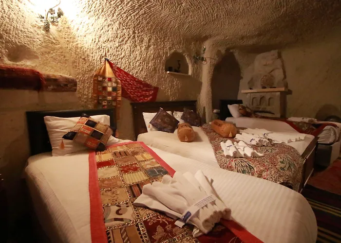 Cappadocia Nar Cave House & Swimming Pool 内夫谢希尔