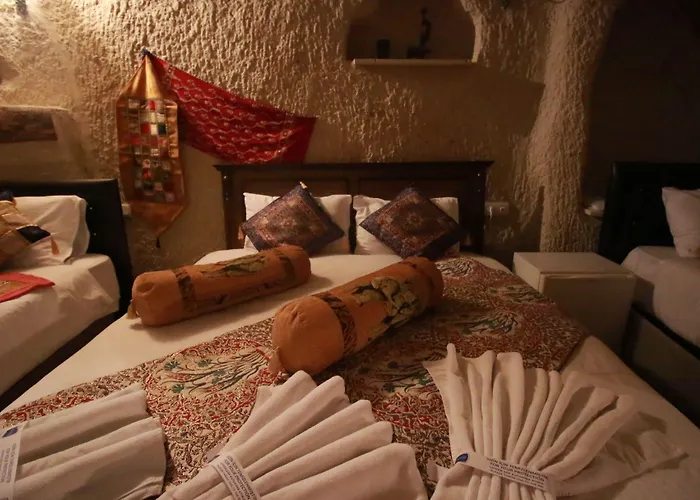 酒店 Cappadocia Nar Cave House & Swimming Pool 内夫谢希尔