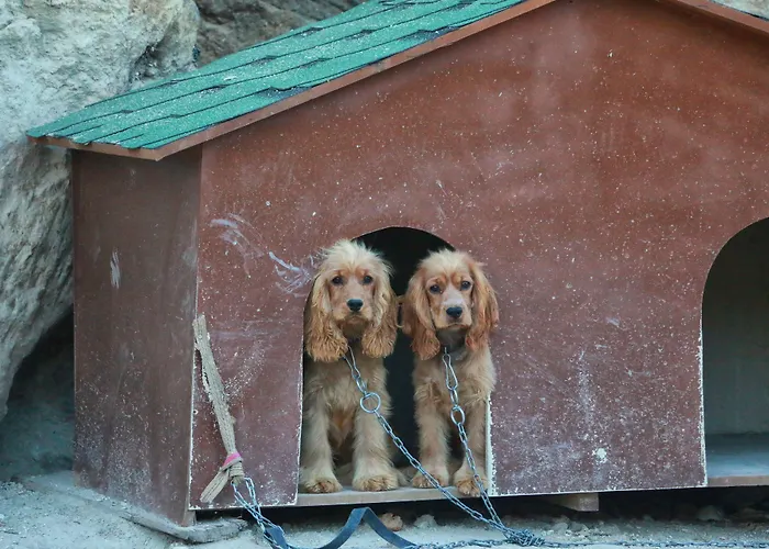 Cappadocia Nar Cave House & Swimming Pool 酒店