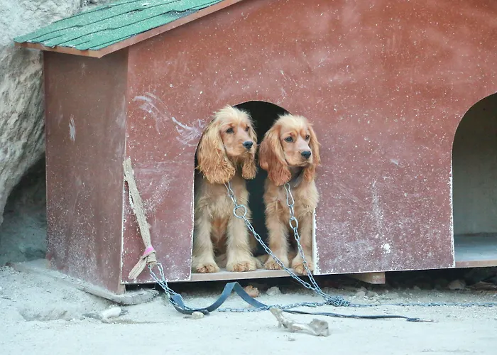 Cappadocia Nar Cave House & Swimming Pool Hotel 3*