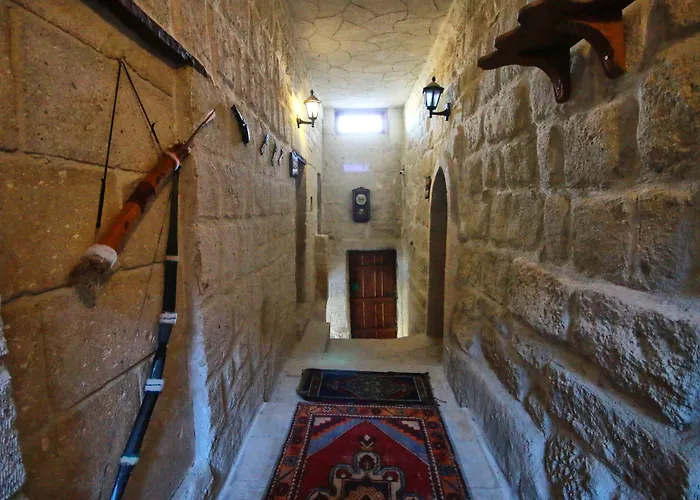 酒店 Cappadocia Nar Cave House & Swimming Pool 内夫谢希尔